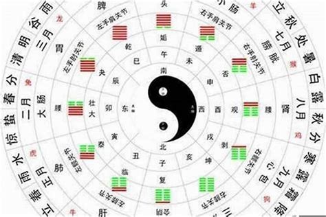 五行木太多|八字木多代表什么 八字木多的人命好不好